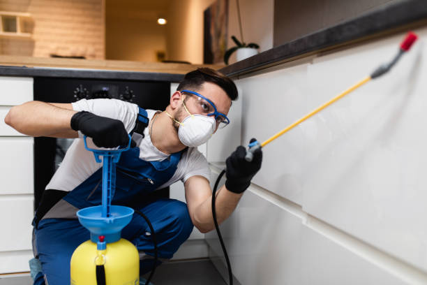 Best Cockroach Control Services  in Arthurtown, SC