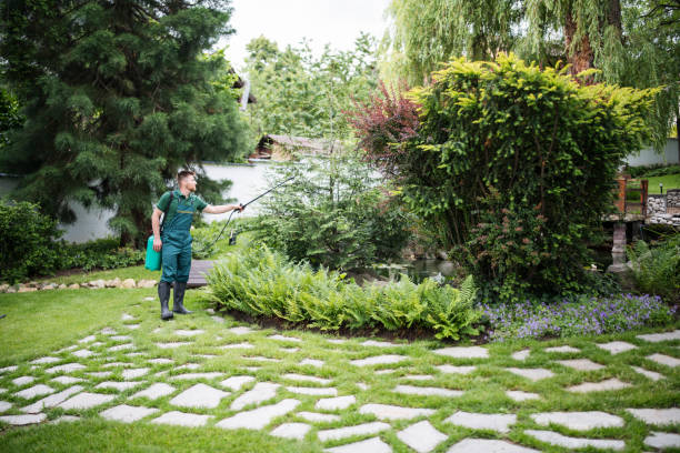 Best Pest Inspection Near Me  in Arthurtown, SC
