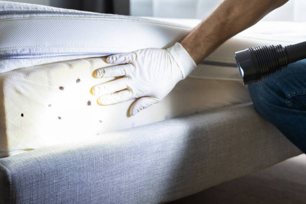 Best Exterminator Services  in Arthurtown, SC