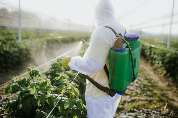 Best Residential Pest Control  in Arthurtown, SC